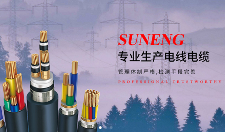 外贸网站建设